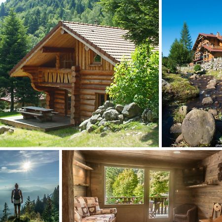 Le Couaroge Chalets Et Appartements Ла-Бресс Екстер'єр фото
