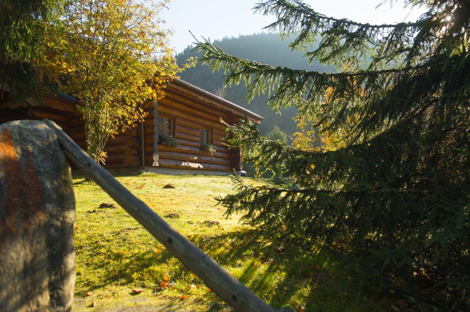 Le Couaroge Chalets Et Appartements Ла-Бресс Екстер'єр фото