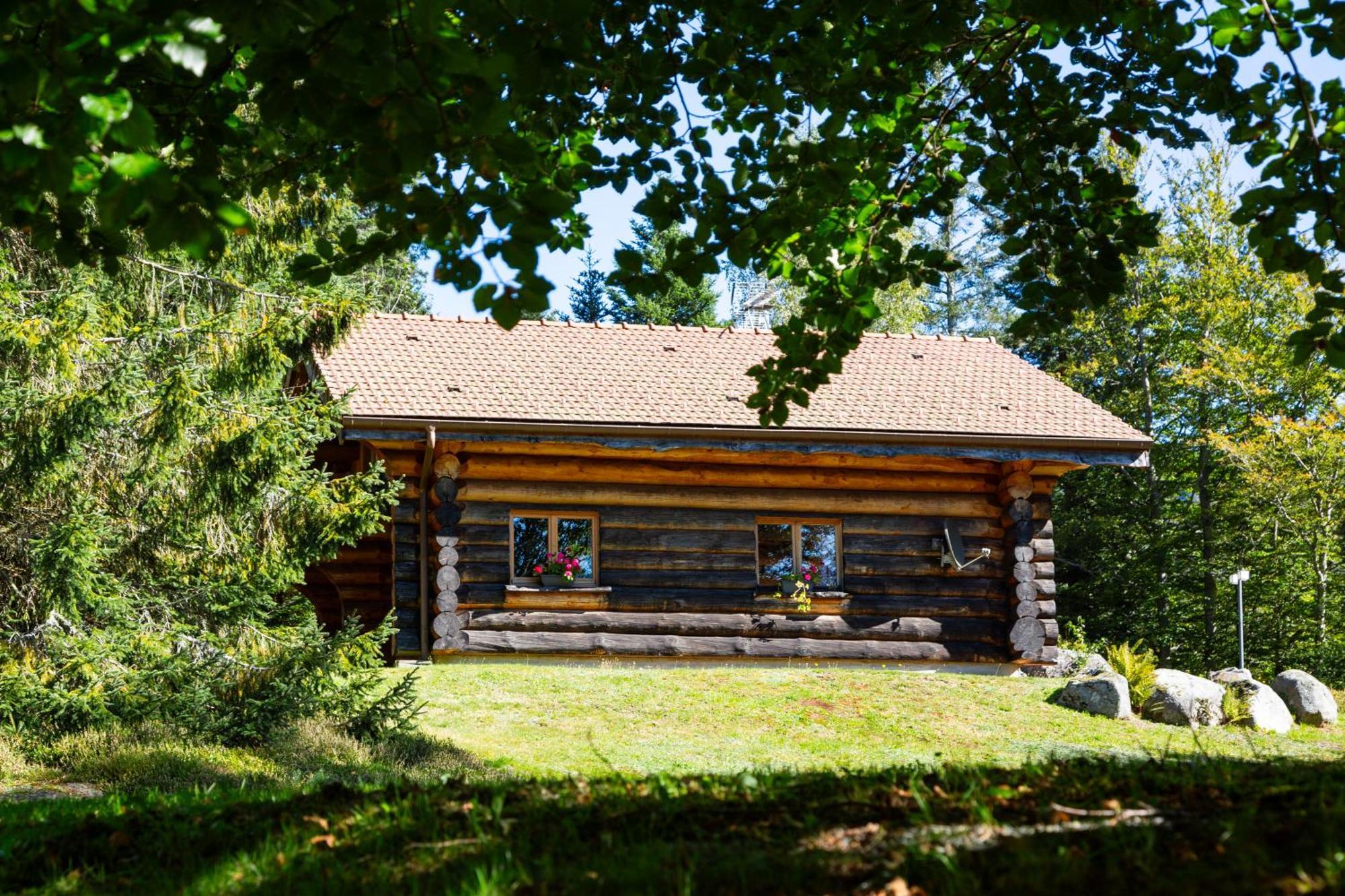 Le Couaroge Chalets Et Appartements Ла-Бресс Екстер'єр фото